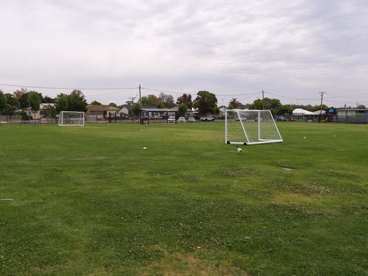 A wide open green playing field with soccer goals.